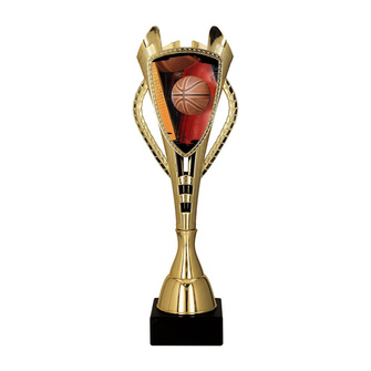 Puchar złoty C - Koszykówka