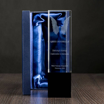 Statuetka dla Lidera Przedsiębiorczości Innowacyjności - Skrzydła 3D 