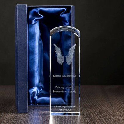 Nagroda za INNOWACJE - skrzydła 3D wygrawerowane w szkle